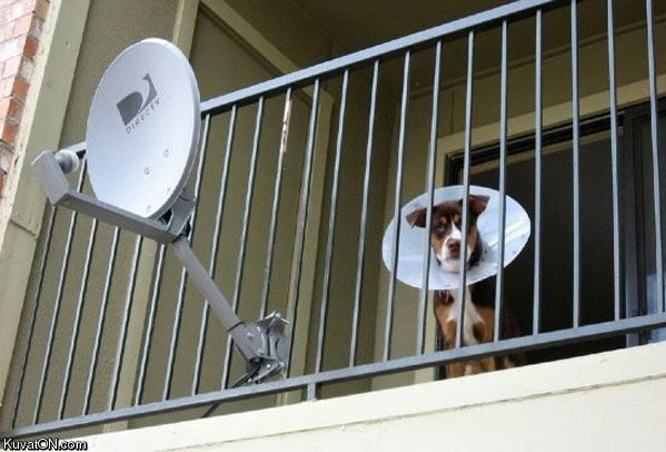 satellite_dishes.jpg