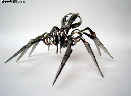 scissors_spider.jpg