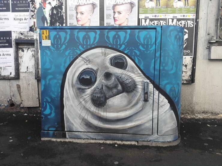 seal03.jpg