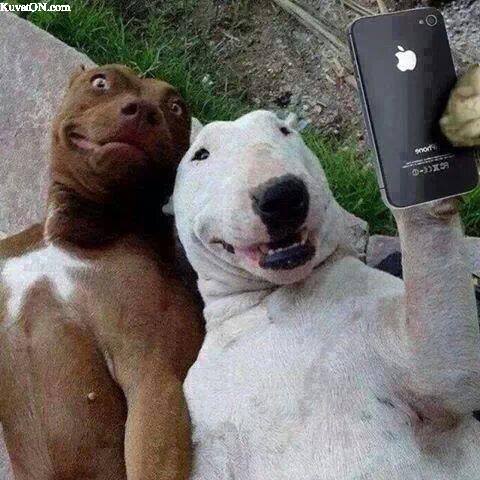 selfietime4.jpg