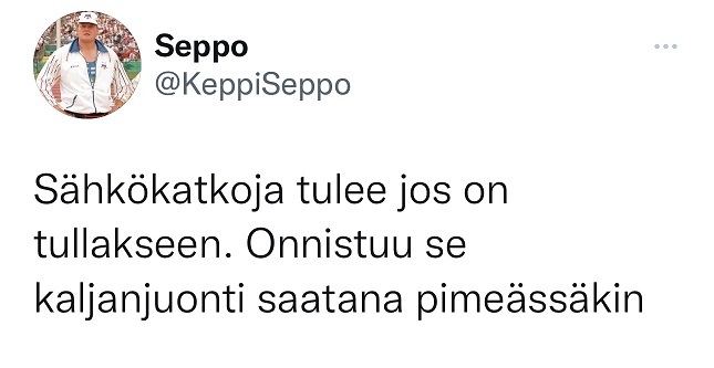 seppo_on_seppo.jpg