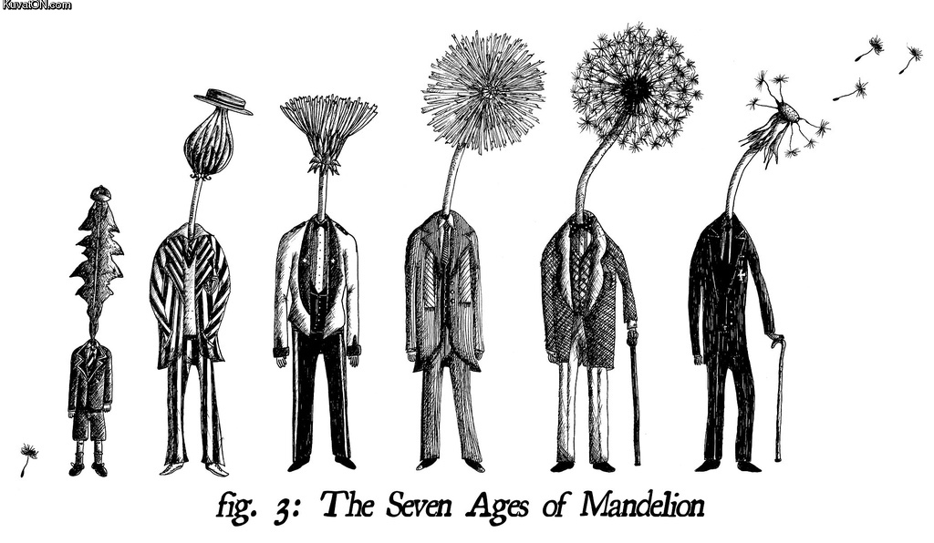 seven_ages_of_mandelion.jpg