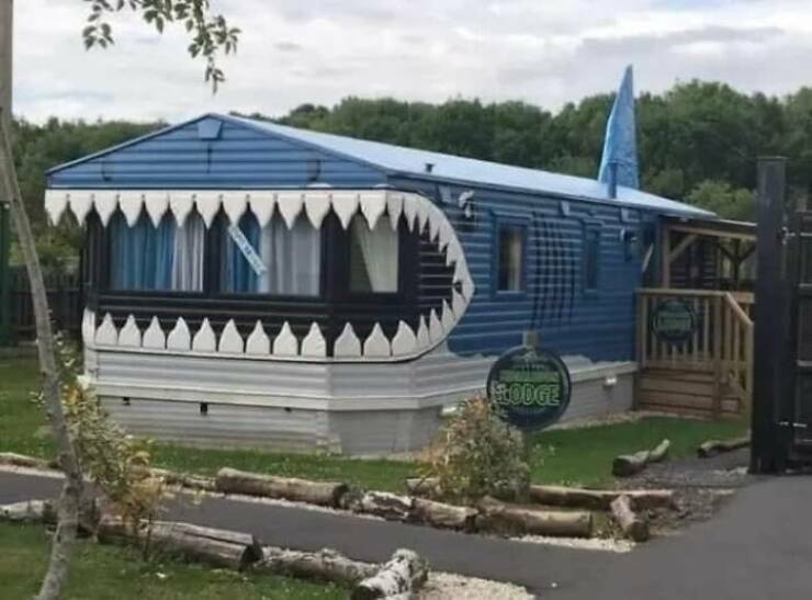 sharkhome.jpg