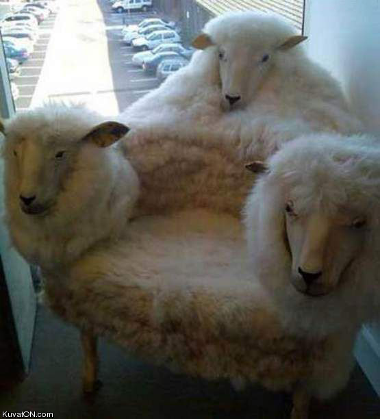 sheep_chair.jpg