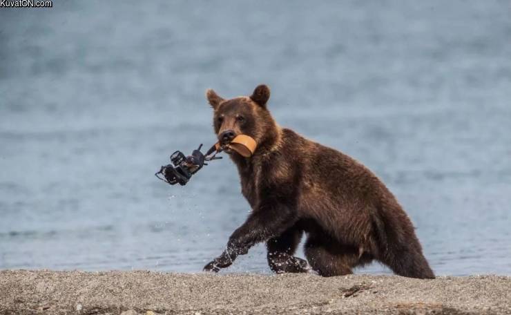 sinne_laks_kamera_ja_karhu.jpg