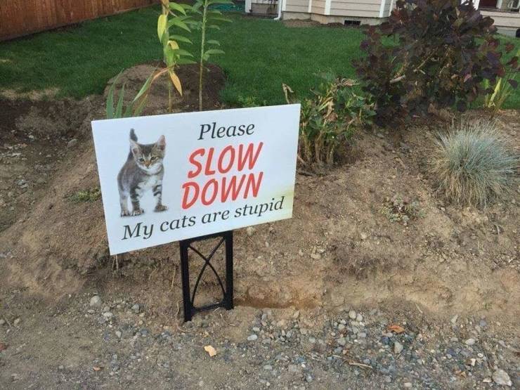 slow_down.jpg