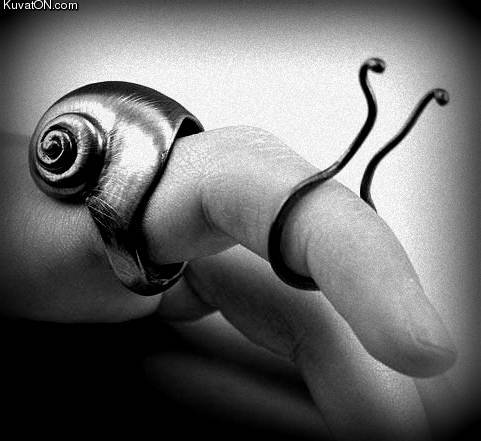 snail_ring.jpg