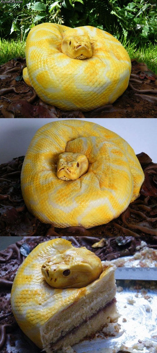 snake_cake.jpg