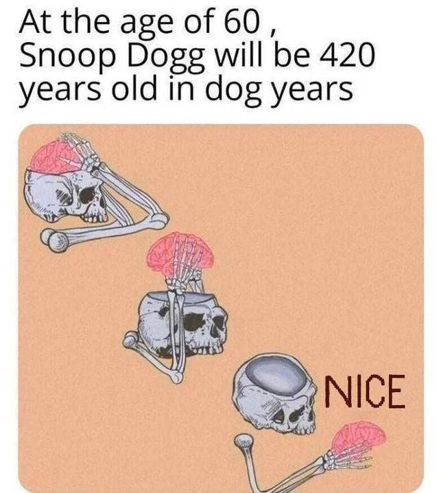 snoop3.jpg