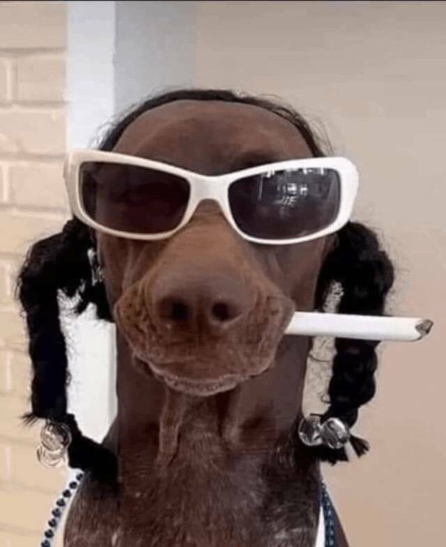 snoopdog7.jpg