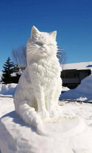 snowcat3.jpg