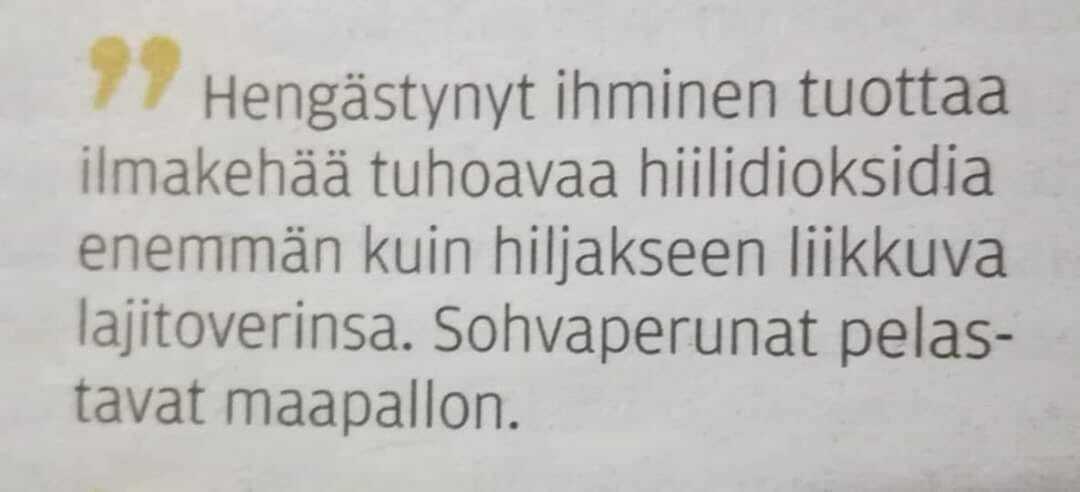 sohvaperunat.jpg