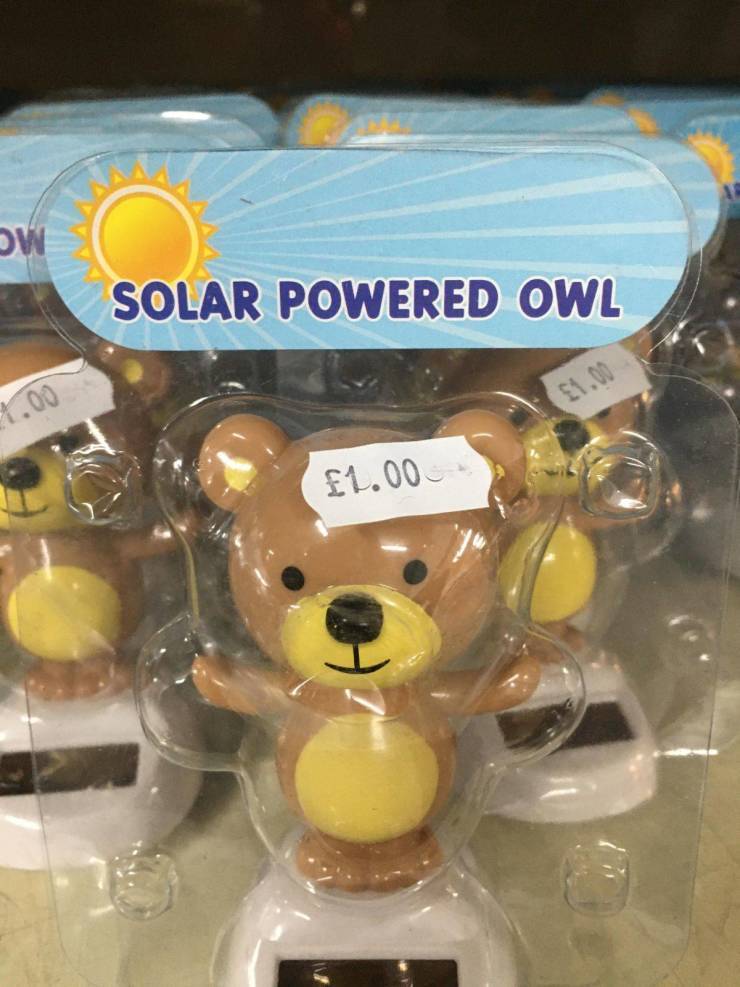 solar_powered_owl.jpg