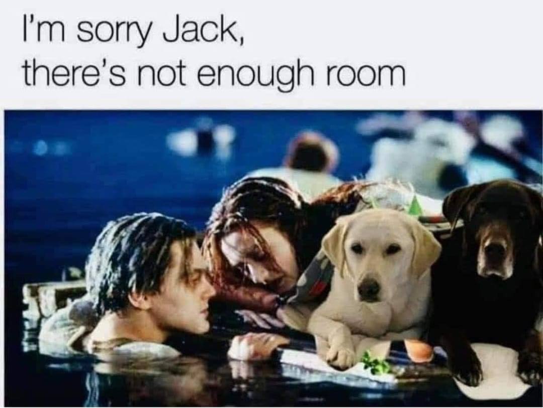 sorry_jack.jpg