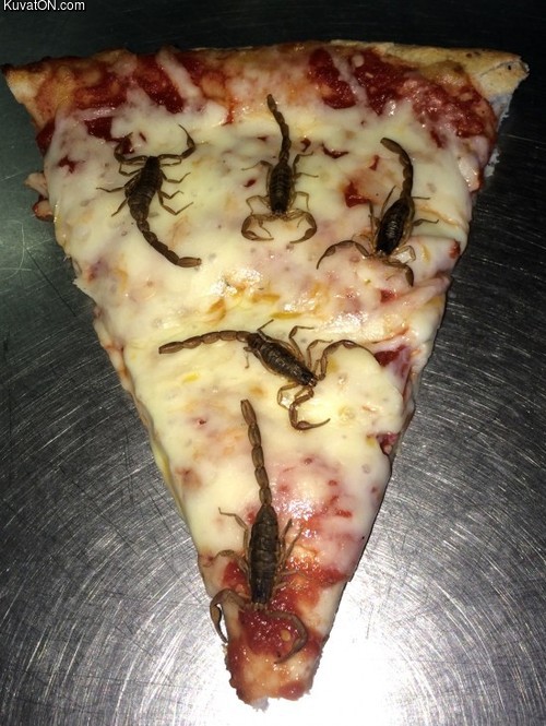 special_pizza.jpeg