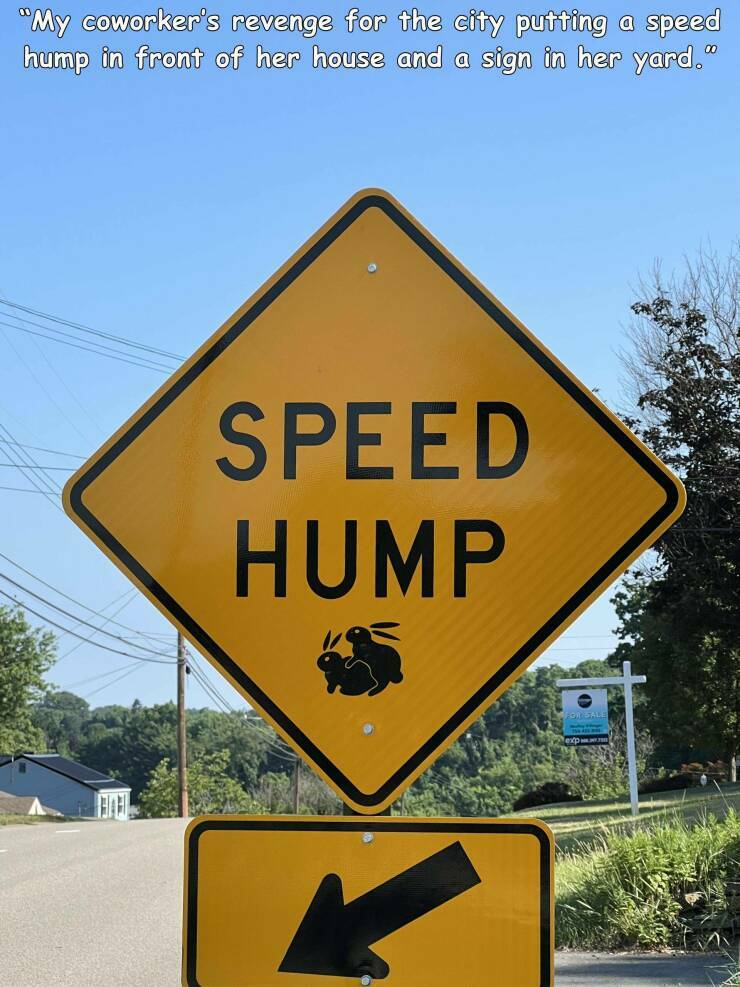 speedhump.jpg