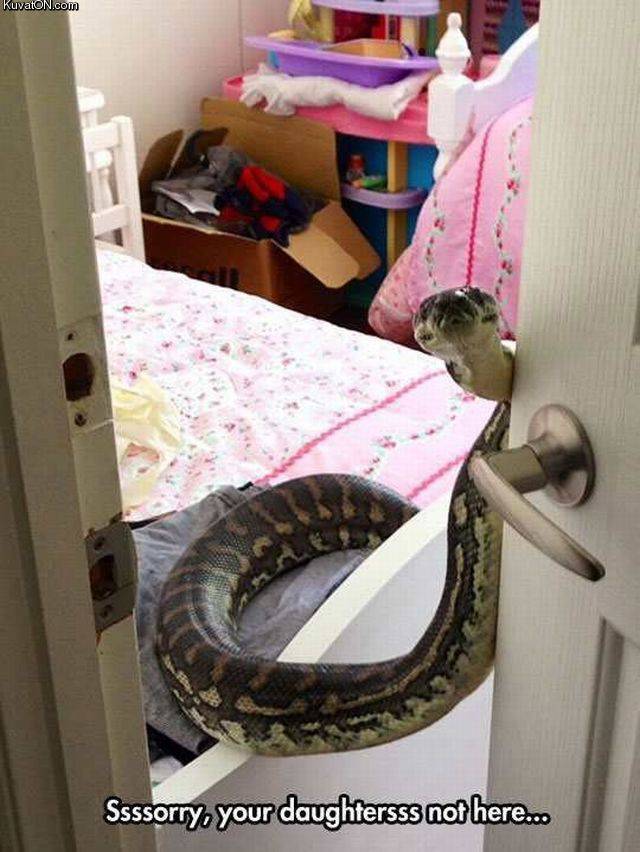 ssssorry.jpg