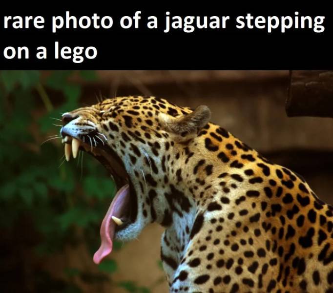 stepping_on_a_lego.jpg