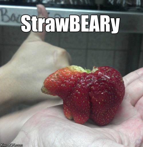 strawbeary.jpg