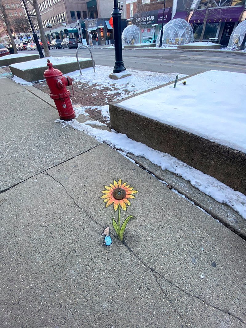 streetflower.jpg