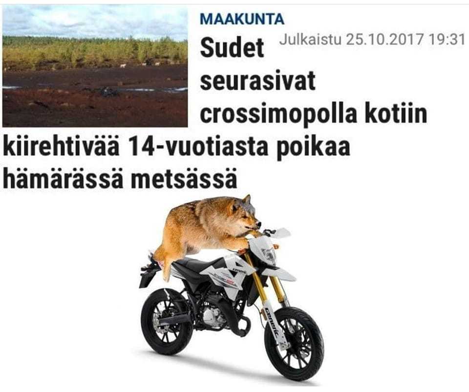 sudet_seuraa.jpg