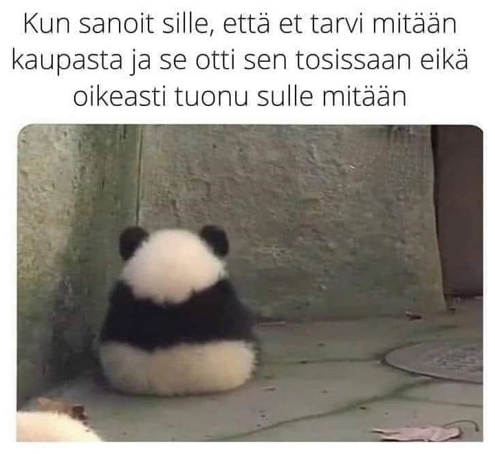 suuttu_silti.jpg