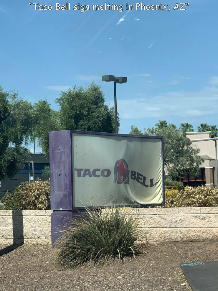 tacobellsign.jpg