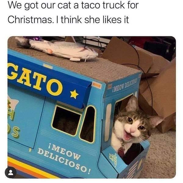 tacogatotruck.jpg