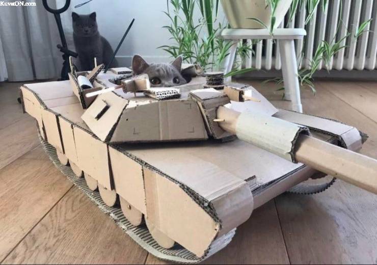 tankcat.jpg