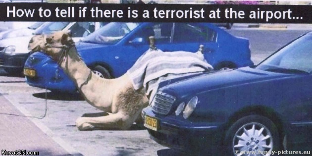 terrorist_parking_only.jpg