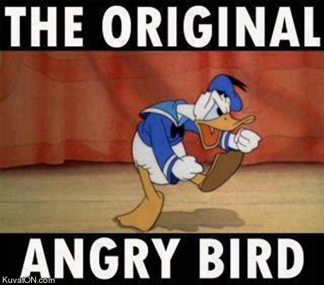 the_one_and_only_angry_bird.jpg