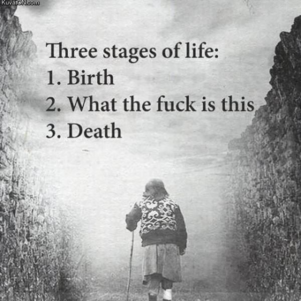 three_stages_of_life.jpg