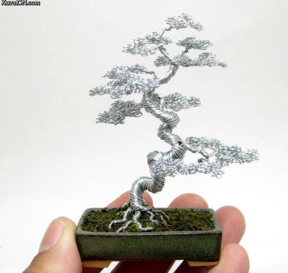 tiny_wire_bonsai.jpg