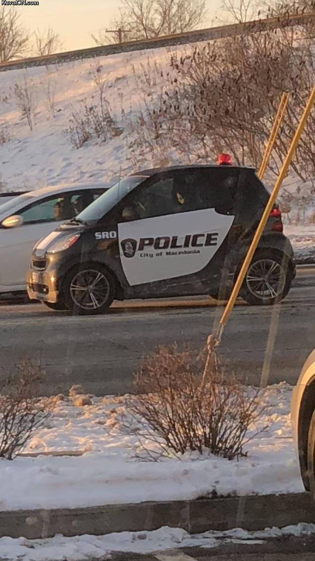 tinypolicecar.jpg