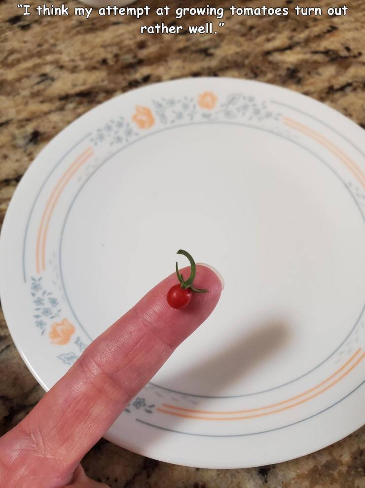 tinytomato.jpg