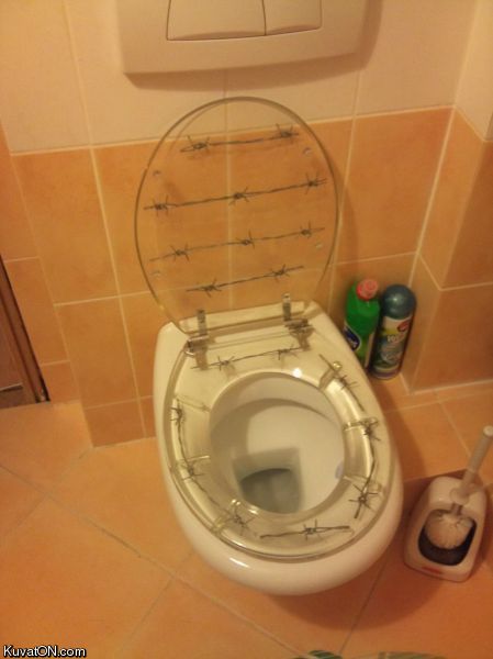 toilet12.jpg