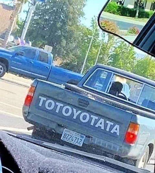 totoyotata.jpg