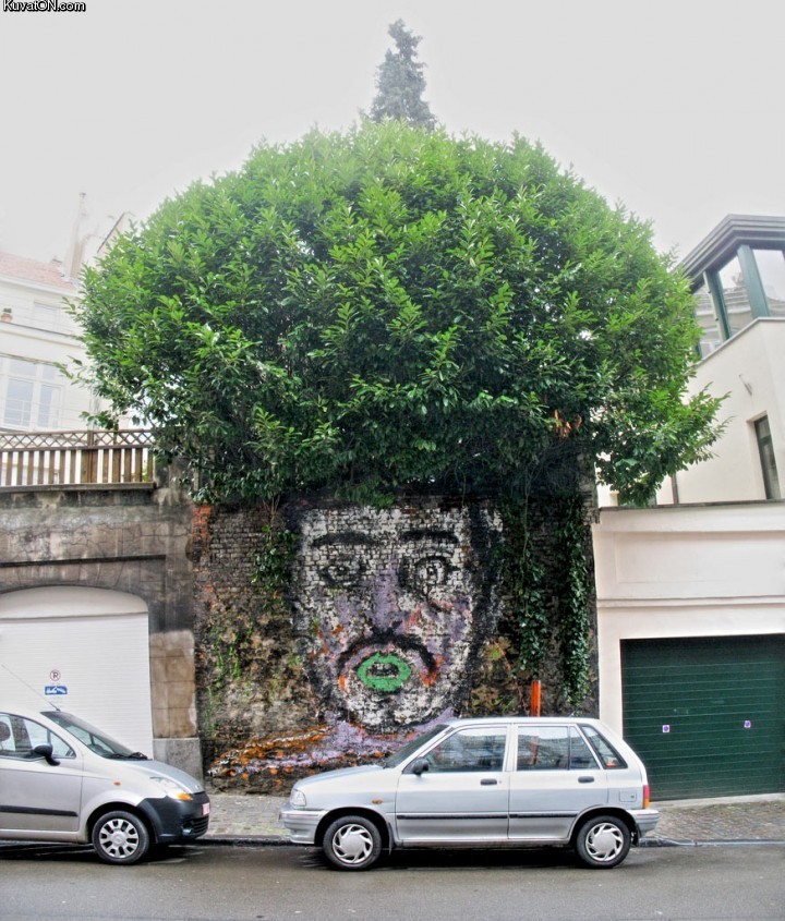 tree_afro.jpg