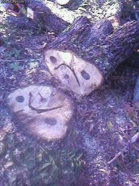 tree_face.jpg