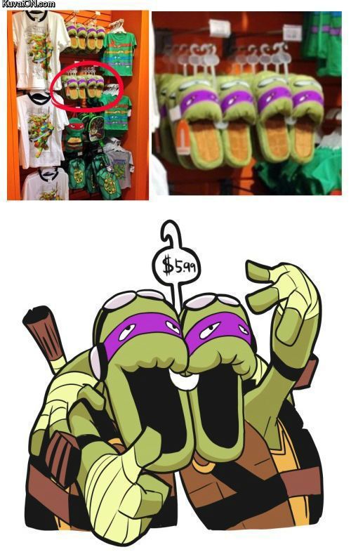 turtles_3.jpg