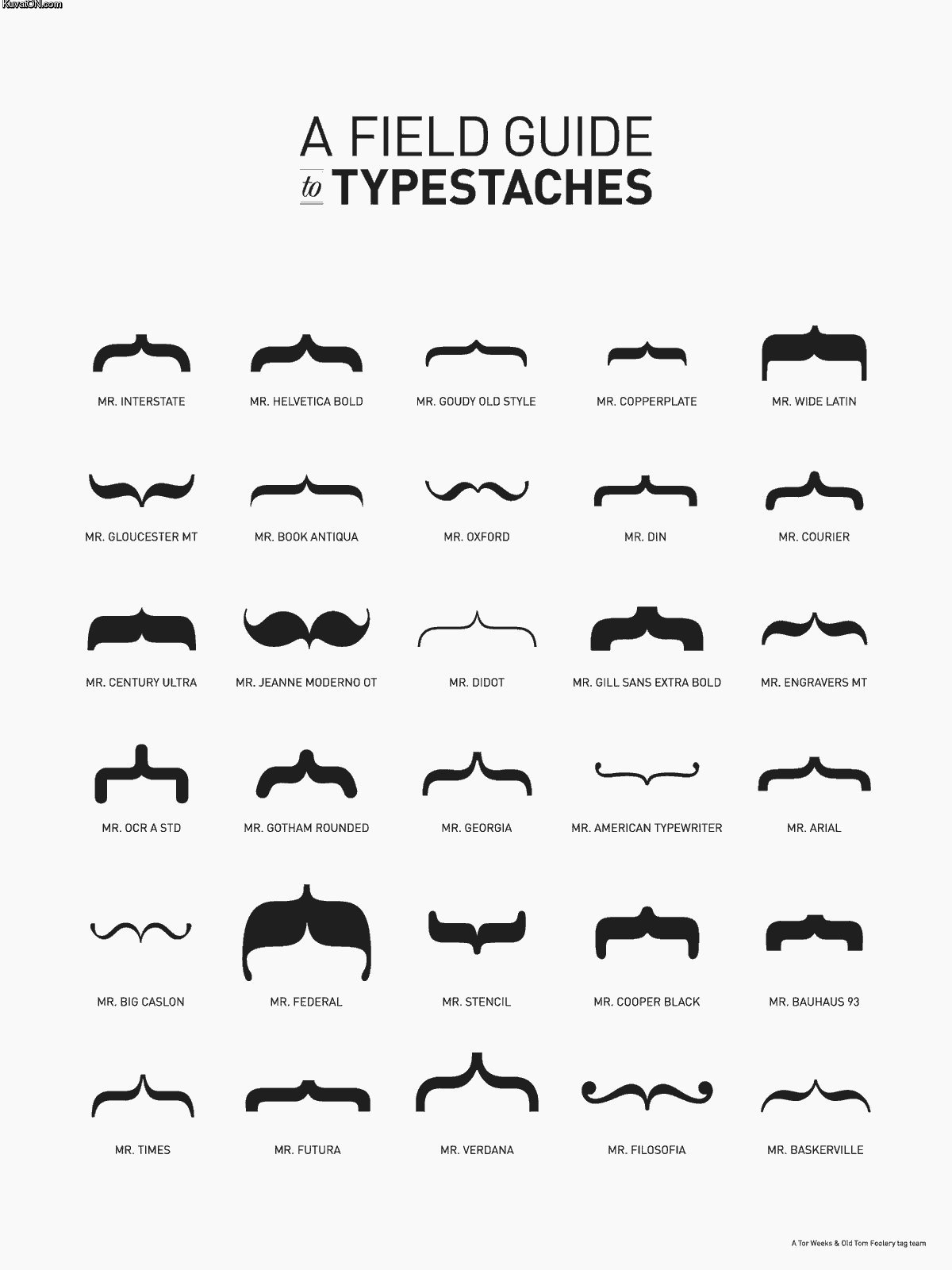 typestaches.jpg