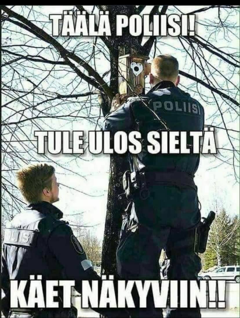 ulos_sielta_nyt_heti.jpg