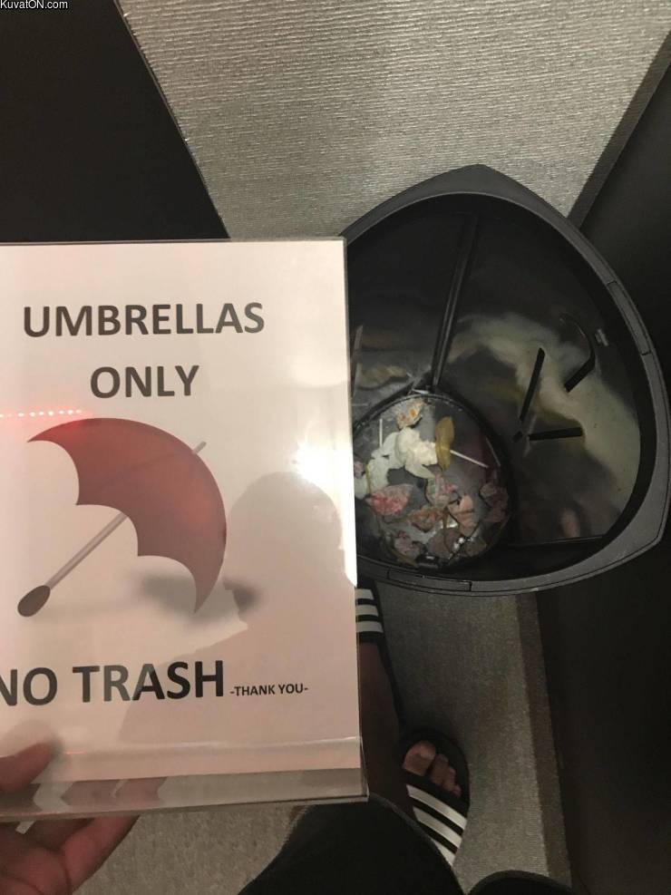 umbrellas_only.jpg