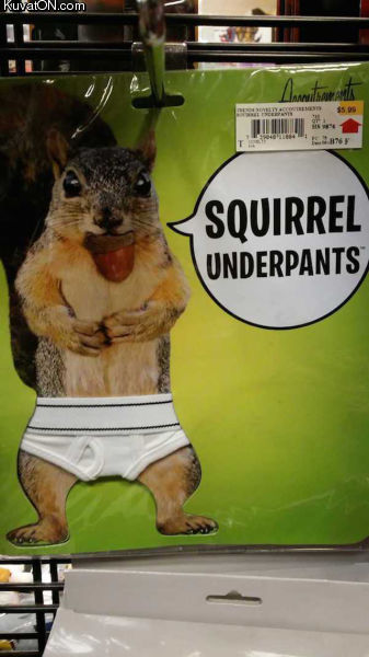 underpants_2.jpg