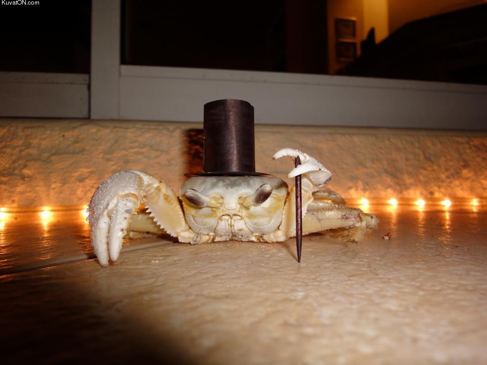 upper_crustacean.jpg