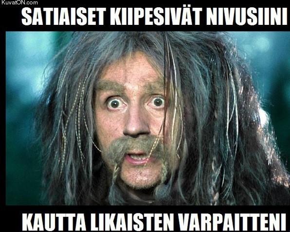 uskooko_tiinatonttu.jpg