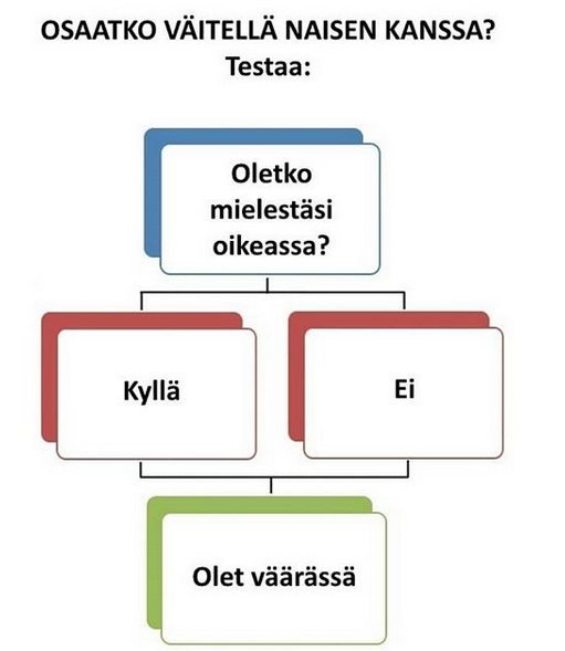 vaittelya.jpg