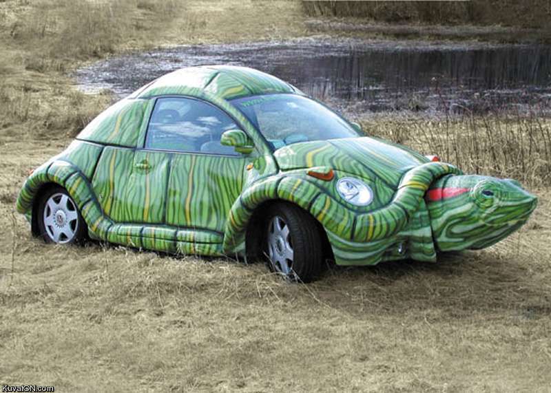 vw_turtle.jpg