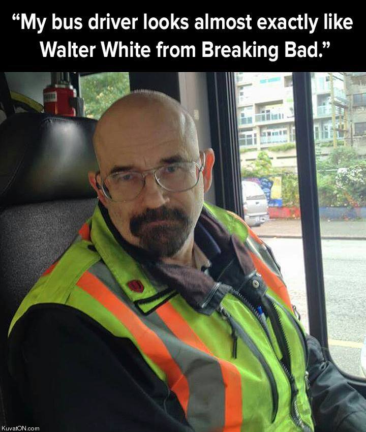 walter_white.jpg