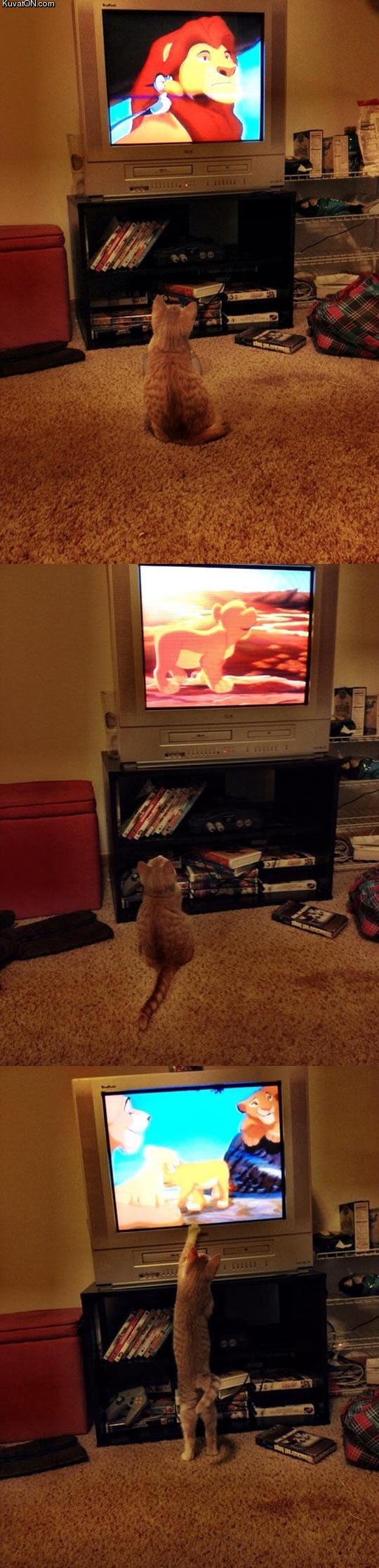 watching_the_lion_king.jpg